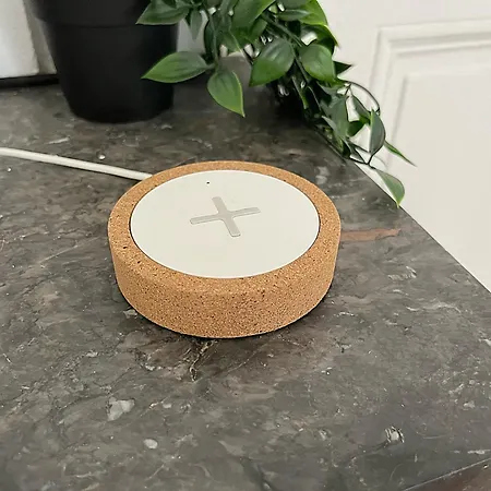 Le Cocon Angevin Διαμέρισμα Ανζέρ