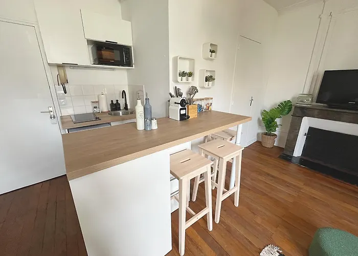 Apartment Le Cocon Angevin Angers