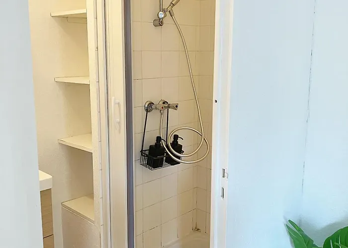 Le Cocon Angevin Apartment *